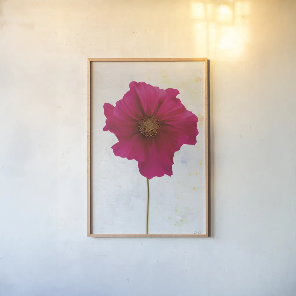Wonderful Wildflowers II by Deborah Revell. shown as a paper print in a natural frame. Available as a archival giclee rolled canvas, fine art paper, or poster print. SKU 93929h.