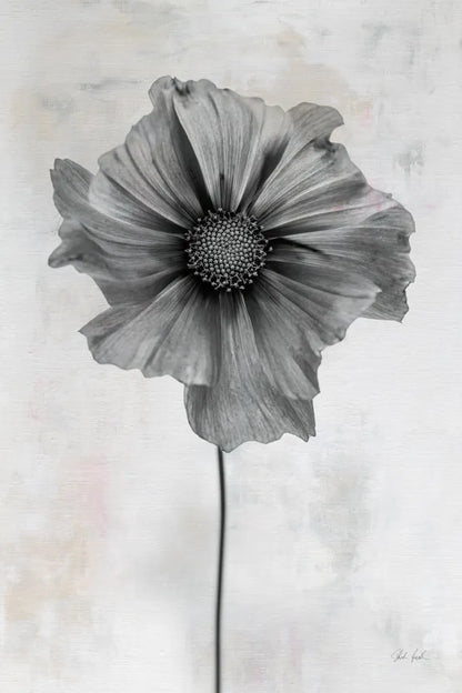 Wonderful Wildflowers II Neutral by Deborah Revell. SKU 93946h. Archival Giclee Fine art print for wall decor.