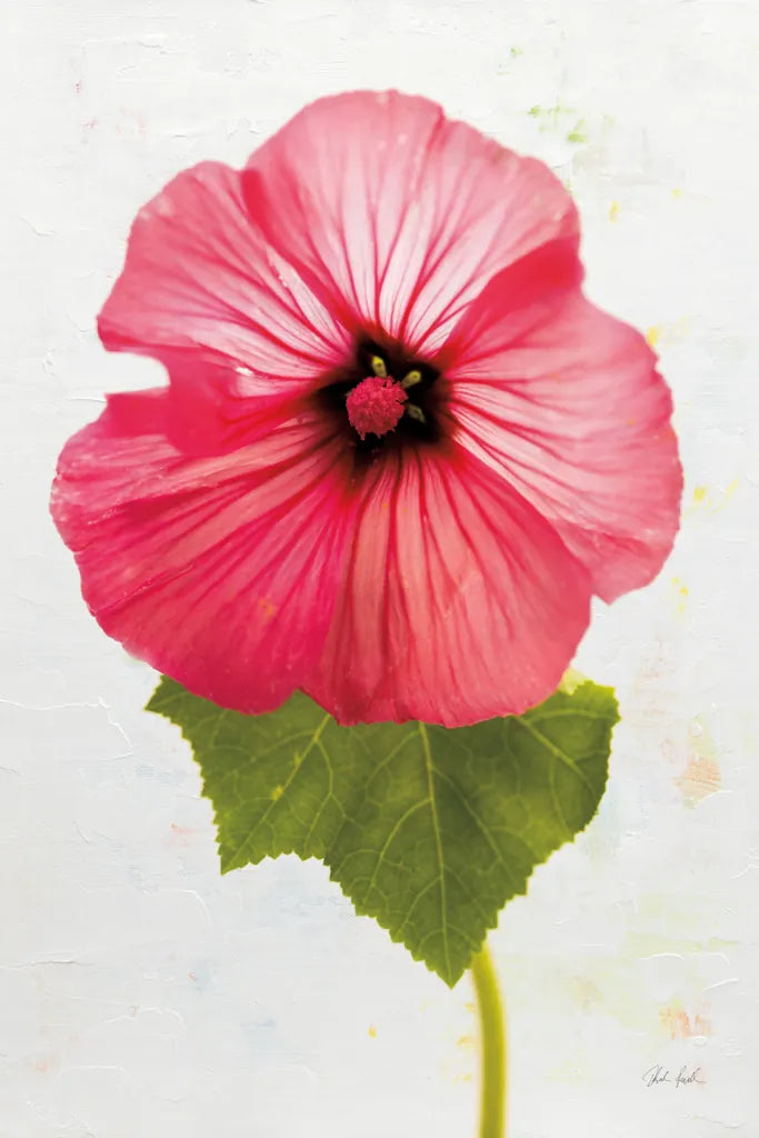 Wonderful Wildflowers III by Deborah Revell. SKU 93930h. Archival Giclee Fine art print for wall decor.