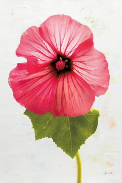 Wonderful Wildflowers III by Deborah Revell. SKU 93930h. Archival Giclee Fine art print for wall decor.