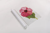Wonderful Wildflowers III by Deborah Revell. shown as a rolled paper print. Available as archival giclee rolled canvas, fine art paper, or poster print. SKU 93930h.