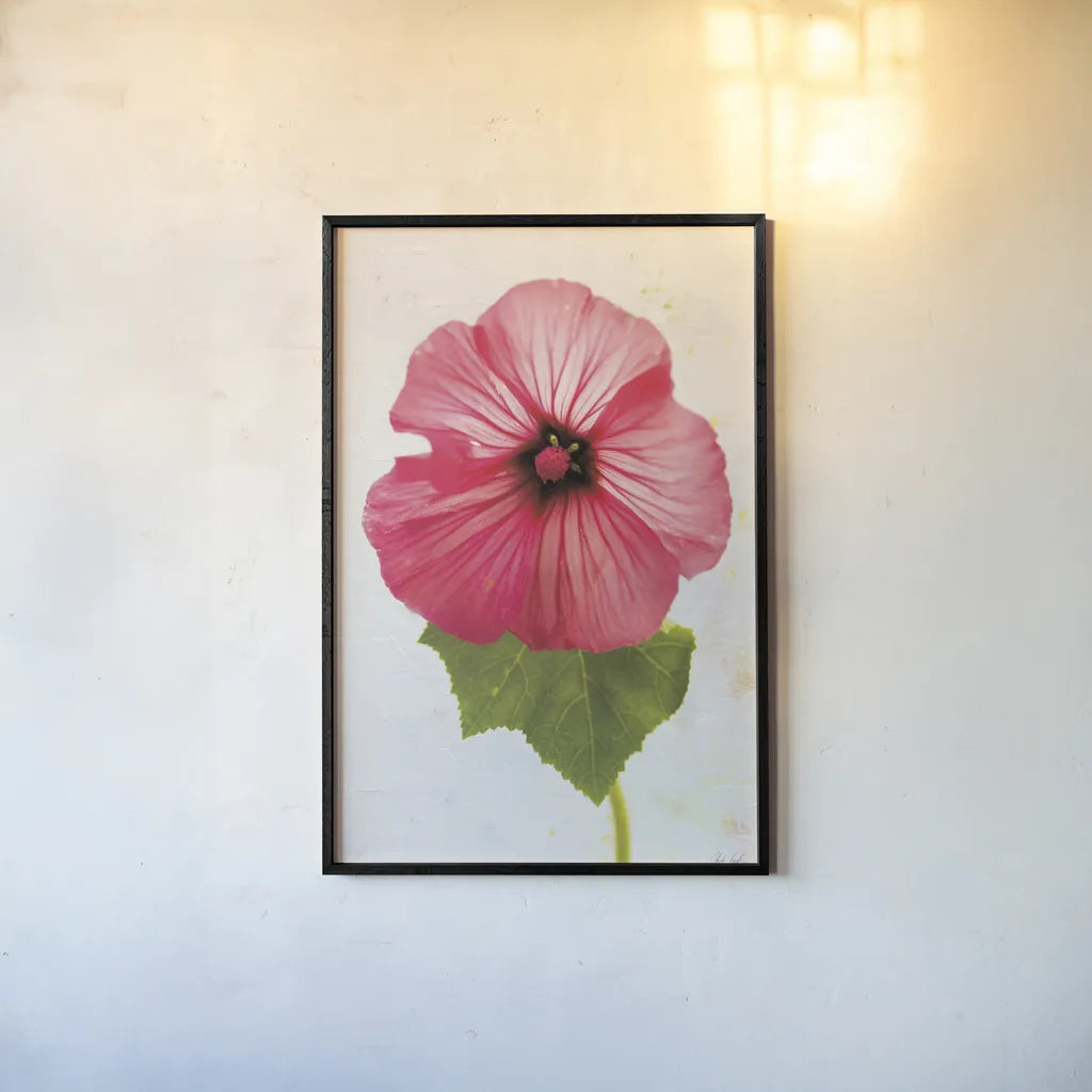 Wonderful Wildflowers III by Deborah Revell. shown as a paper print in a black flame. Available as a archival giclee rolled canvas, fine art paper, or poster print. SKU 93930h.