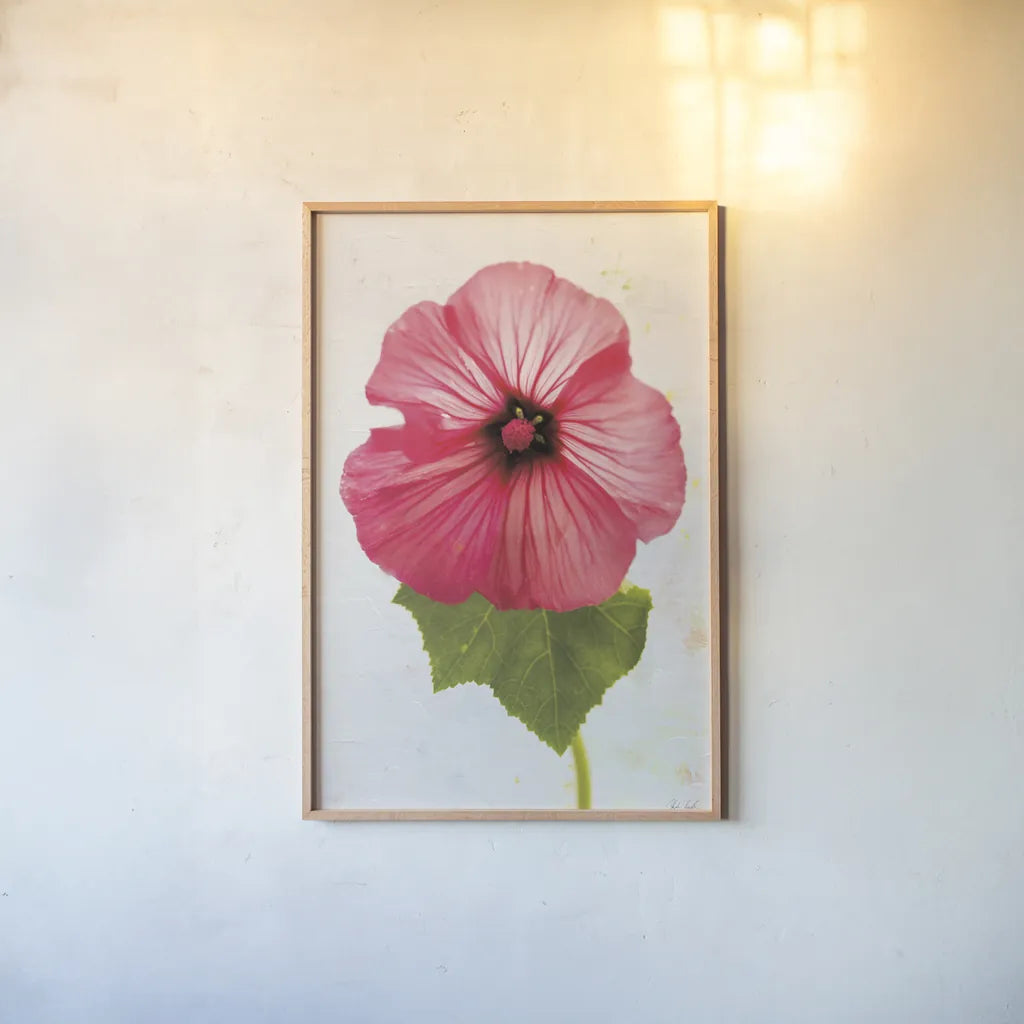 Wonderful Wildflowers III by Deborah Revell. shown as a paper print in a natural frame. Available as a archival giclee rolled canvas, fine art paper, or poster print. SKU 93930h.