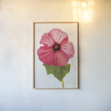 Wonderful Wildflowers III by Deborah Revell. shown as a paper print in a natural frame. Available as a archival giclee rolled canvas, fine art paper, or poster print. SKU 93930h.