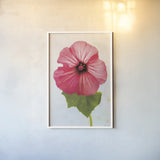 Wonderful Wildflowers III by Deborah Revell. shown as a paper print in a white frame. Available as a archival giclee rolled canvas, fine art paper, or poster print. SKU 93930h.