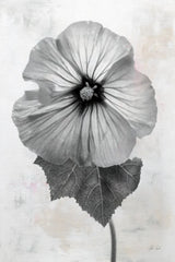 Wonderful Wildflowers III Neutral by Deborah Revell. SKU 93947h. Archival Giclee Fine art print for wall decor.