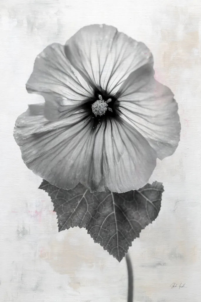 Wonderful Wildflowers III Neutral by Deborah Revell. SKU 93947h. Archival Giclee Fine art print for wall decor.