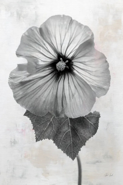 Wonderful Wildflowers III Neutral by Deborah Revell. SKU 93947h. Archival Giclee Fine art print for wall decor.