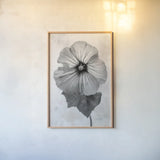 Wonderful Wildflowers III Neutral by Deborah Revell. shown as a paper print in a natural frame. Available as a archival giclee rolled canvas, fine art paper, or poster print. SKU 93947h.