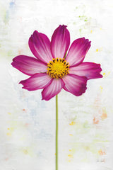 Wonderful Wildflowers IV by Deborah Revell. SKU 93931h. Archival Giclee Fine art print for wall decor.