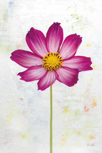 Wonderful Wildflowers IV by Deborah Revell. SKU 93931h. Archival Giclee Fine art print for wall decor.