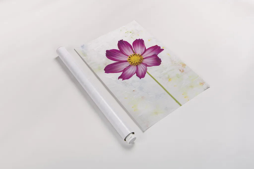 Wonderful Wildflowers IV by Deborah Revell. shown as a rolled paper print. Available as archival giclee rolled canvas, fine art paper, or poster print. SKU 93931h.