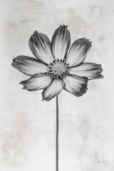 Wonderful Wildflowers IV Neutral by Deborah Revell. SKU 93948h. Archival Giclee Fine art print for wall decor.