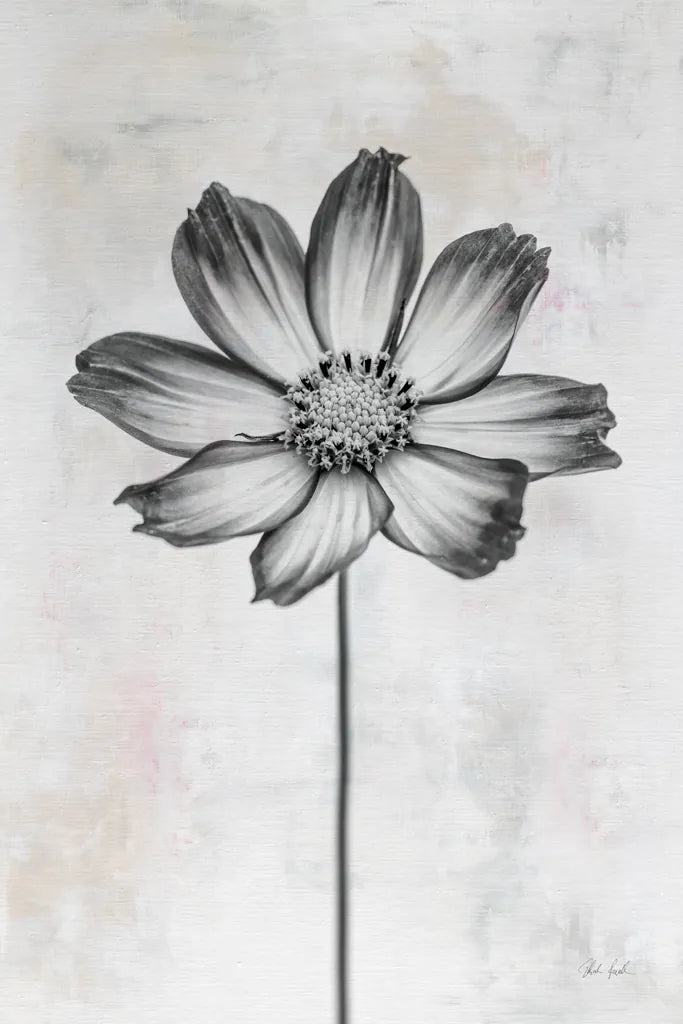 Wonderful Wildflowers IV Neutral by Deborah Revell. SKU 93948h. Archival Giclee Fine art print for wall decor.