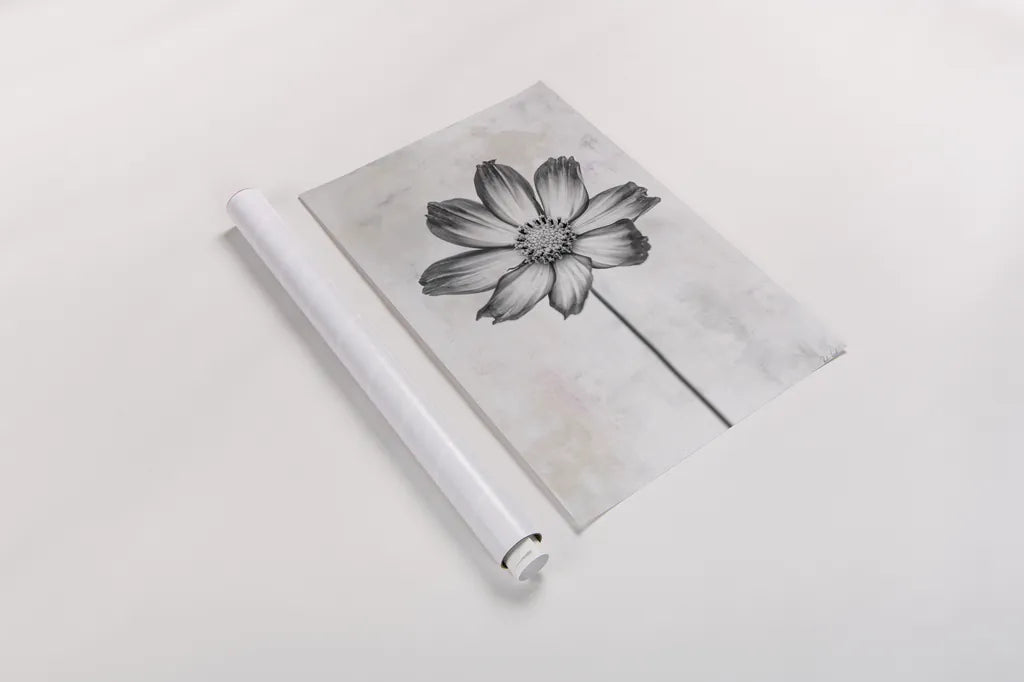 Wonderful Wildflowers IV Neutral by Deborah Revell. shown as a rolled paper print. Available as archival giclee rolled canvas, fine art paper, or poster print. SKU 93948h.