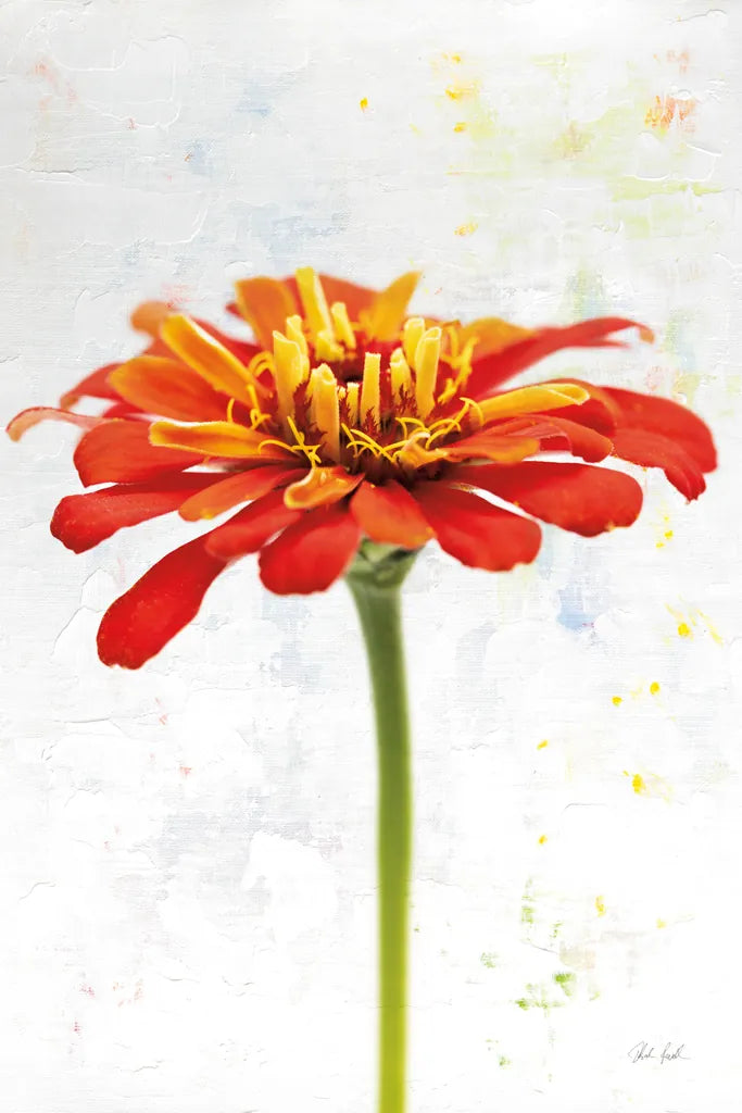 Wonderful Wildflowers IX by Deborah Revell. SKU 93936h. Archival Giclee Fine art print for wall decor.