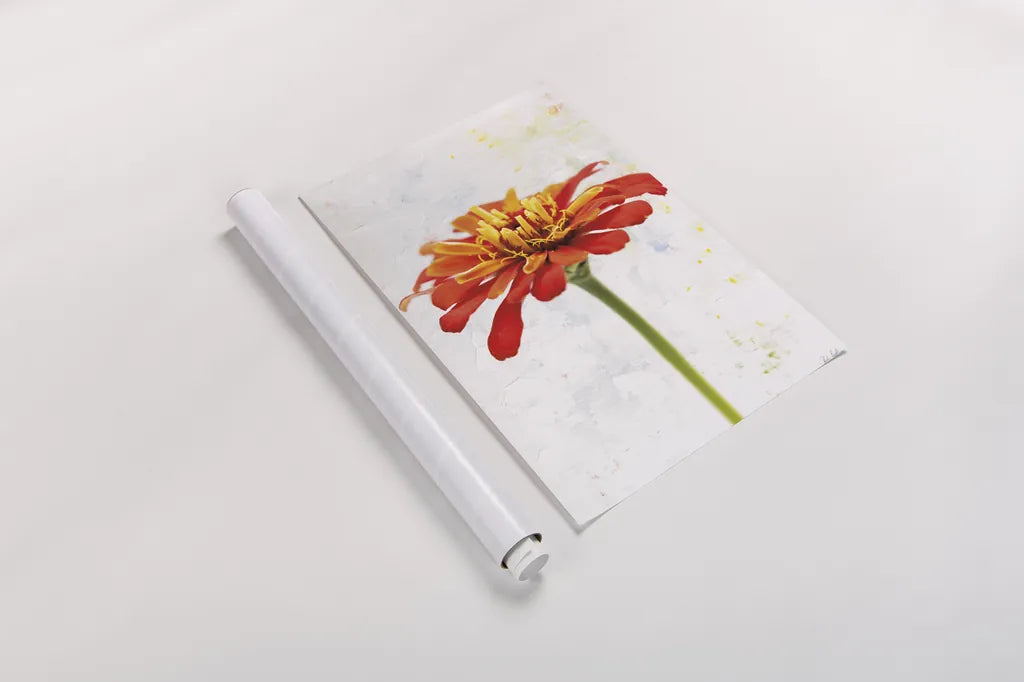 Wonderful Wildflowers IX by Deborah Revell. shown as a rolled paper print. Available as archival giclee rolled canvas, fine art paper, or poster print. SKU 93936h.