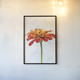 Wonderful Wildflowers IX by Deborah Revell. shown as a paper print in a black flame. Available as a archival giclee rolled canvas, fine art paper, or poster print. SKU 93936h.