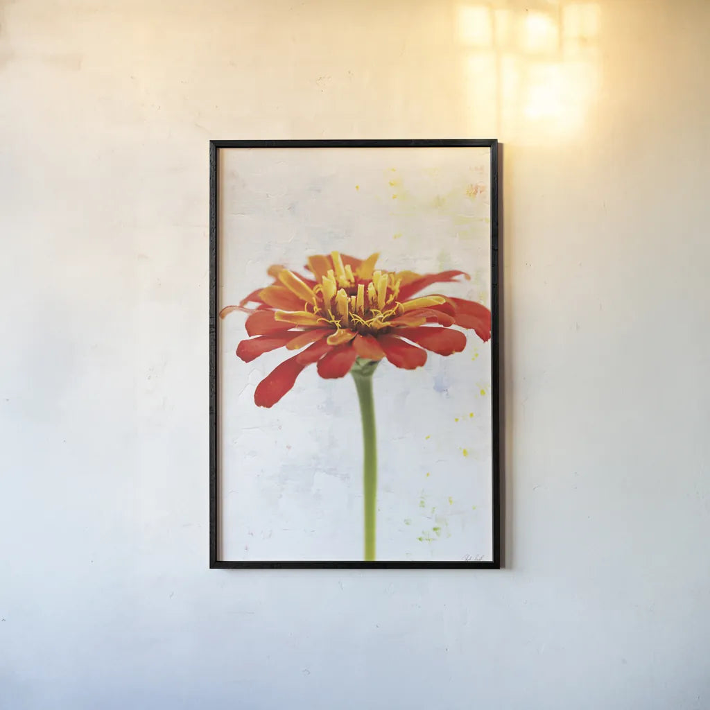 Wonderful Wildflowers IX by Deborah Revell. shown as a paper print in a black flame. Available as a archival giclee rolled canvas, fine art paper, or poster print. SKU 93936h.