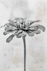 Wonderful Wildflowers IX Neutral by Deborah Revell. SKU 93953h. Archival Giclee Fine art print for wall decor.