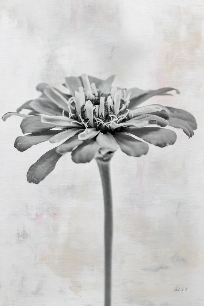 Wonderful Wildflowers IX Neutral by Deborah Revell. SKU 93953h. Archival Giclee Fine art print for wall decor.