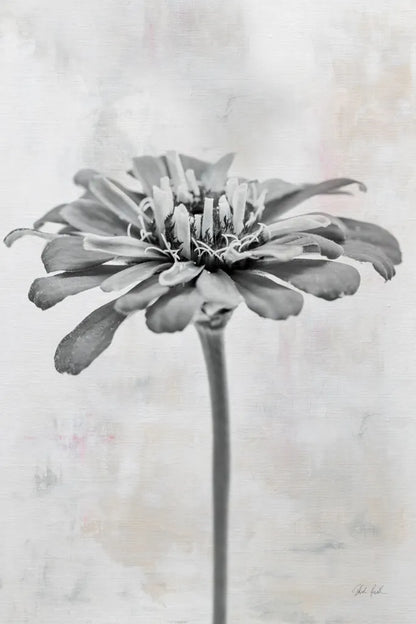 Wonderful Wildflowers IX Neutral by Deborah Revell. SKU 93953h. Archival Giclee Fine art print for wall decor.