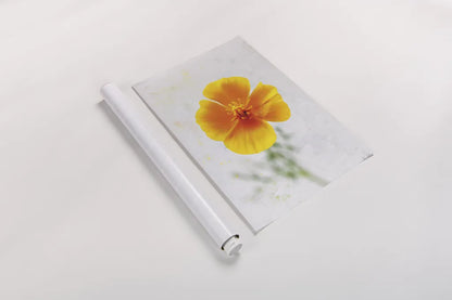 Wonderful Wildflowers V by Deborah Revell. shown as a rolled paper print. Available as archival giclee rolled canvas, fine art paper, or poster print. SKU 93932h.