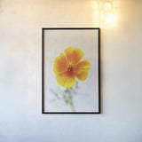 Wonderful Wildflowers V by Deborah Revell. shown as a paper print in a black flame. Available as a archival giclee rolled canvas, fine art paper, or poster print. SKU 93932h.