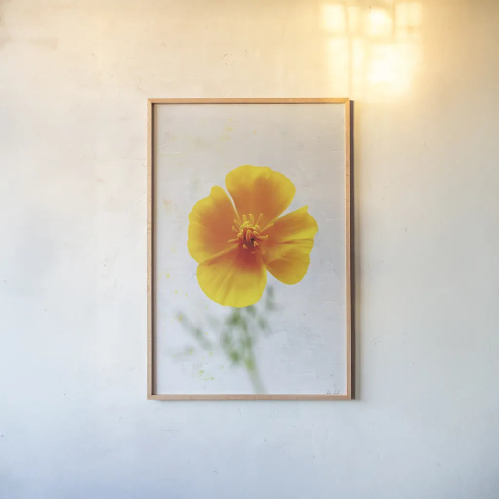 Wonderful Wildflowers V by Deborah Revell. shown as a paper print in a natural frame. Available as a archival giclee rolled canvas, fine art paper, or poster print. SKU 93932h.