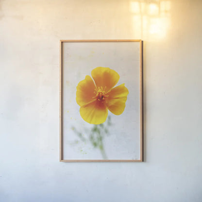 Wonderful Wildflowers V by Deborah Revell. shown as a paper print in a natural frame. Available as a archival giclee rolled canvas, fine art paper, or poster print. SKU 93932h.