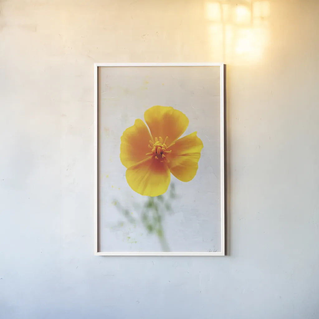 Wonderful Wildflowers V by Deborah Revell. shown as a paper print in a white frame. Available as a archival giclee rolled canvas, fine art paper, or poster print. SKU 93932h.