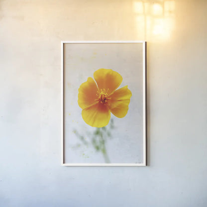 Wonderful Wildflowers V by Deborah Revell. shown as a paper print in a white frame. Available as a archival giclee rolled canvas, fine art paper, or poster print. SKU 93932h.