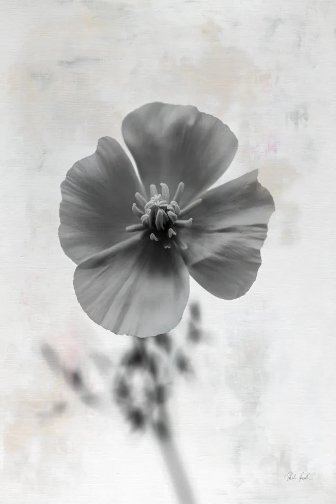 Wonderful Wildflowers V Neutral by Deborah Revell. SKU 93949h. Archival Giclee Fine art print for wall decor.