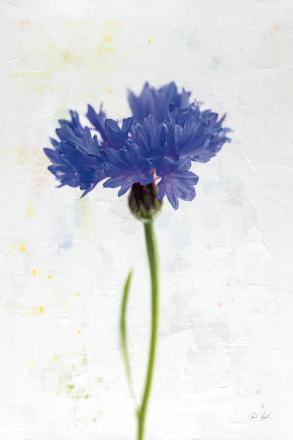 Wonderful Wildflowers VI by Deborah Revell. SKU 93933h. Archival Giclee Fine art print for wall decor.