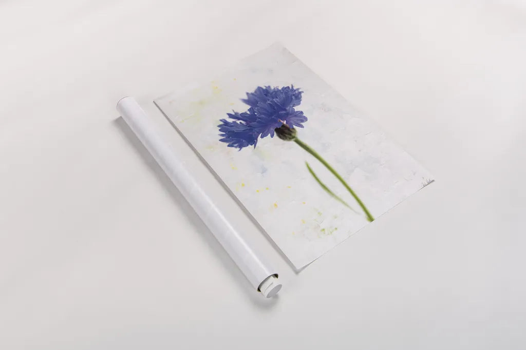 Wonderful Wildflowers VI by Deborah Revell. shown as a rolled paper print. Available as archival giclee rolled canvas, fine art paper, or poster print. SKU 93933h.