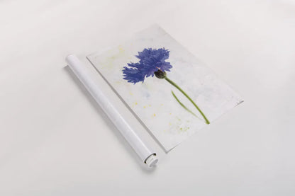 Wonderful Wildflowers VI by Deborah Revell. shown as a rolled paper print. Available as archival giclee rolled canvas, fine art paper, or poster print. SKU 93933h.