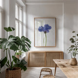 Wonderful Wildflowers VI by Deborah Revell. shown as a print in a natural wood frame in a dining room. Available as a archival giclee rolled canvas, fine art paper, or poster print. SKU 93933h.