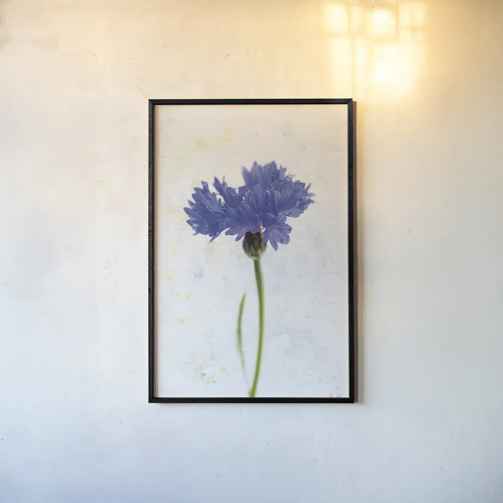 Wonderful Wildflowers VI by Deborah Revell. shown as a paper print in a black flame. Available as a archival giclee rolled canvas, fine art paper, or poster print. SKU 93933h.