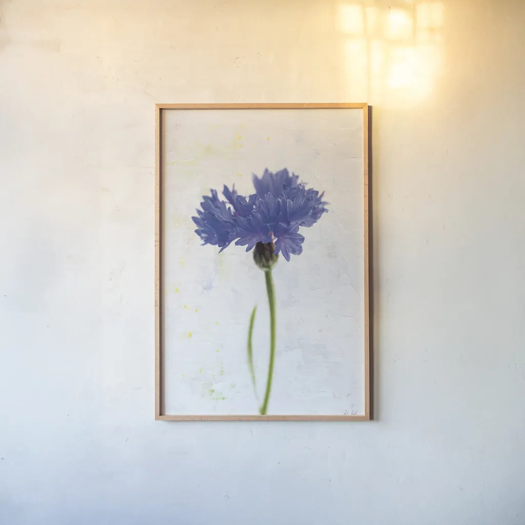 Wonderful Wildflowers VI by Deborah Revell. shown as a paper print in a natural frame. Available as a archival giclee rolled canvas, fine art paper, or poster print. SKU 93933h.