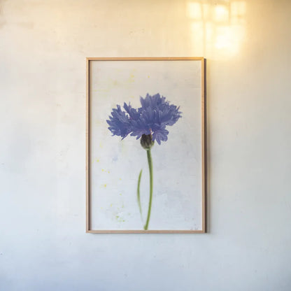 Wonderful Wildflowers VI by Deborah Revell. shown as a paper print in a natural frame. Available as a archival giclee rolled canvas, fine art paper, or poster print. SKU 93933h.