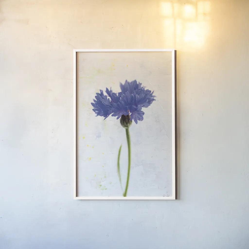 Wonderful Wildflowers VI by Deborah Revell. shown as a paper print in a white frame. Available as a archival giclee rolled canvas, fine art paper, or poster print. SKU 93933h.