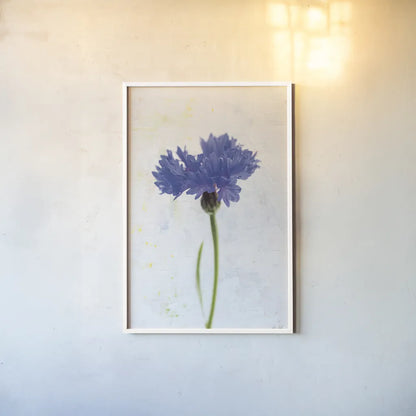Wonderful Wildflowers VI by Deborah Revell. shown as a paper print in a white frame. Available as a archival giclee rolled canvas, fine art paper, or poster print. SKU 93933h.