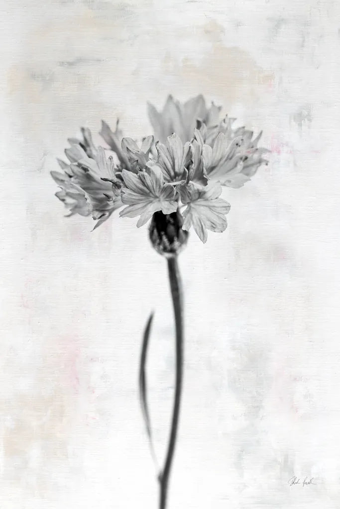 Wonderful Wildflowers VI Neutral by Deborah Revell. SKU 93950h. Archival Giclee Fine art print for wall decor.