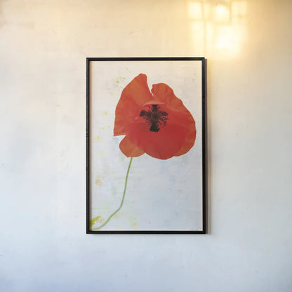 Wonderful Wildflowers VII by Deborah Revell. shown as a paper print in a black flame. Available as a archival giclee rolled canvas, fine art paper, or poster print. SKU 93934h.