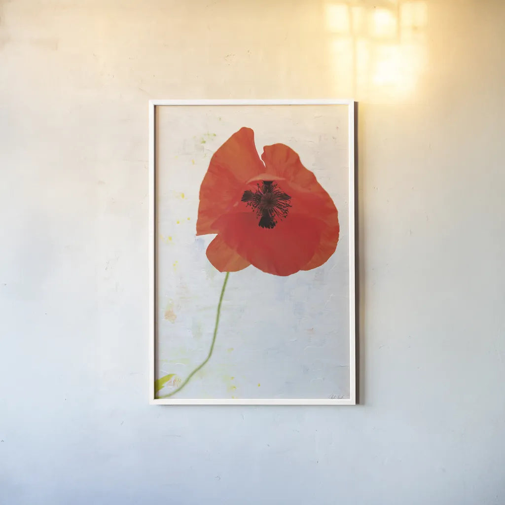 Wonderful Wildflowers VII by Deborah Revell. shown as a paper print in a white frame. Available as a archival giclee rolled canvas, fine art paper, or poster print. SKU 93934h.