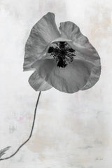Wonderful Wildflowers VII Neutral by Deborah Revell. SKU 93951h. Archival Giclee Fine art print for wall decor.