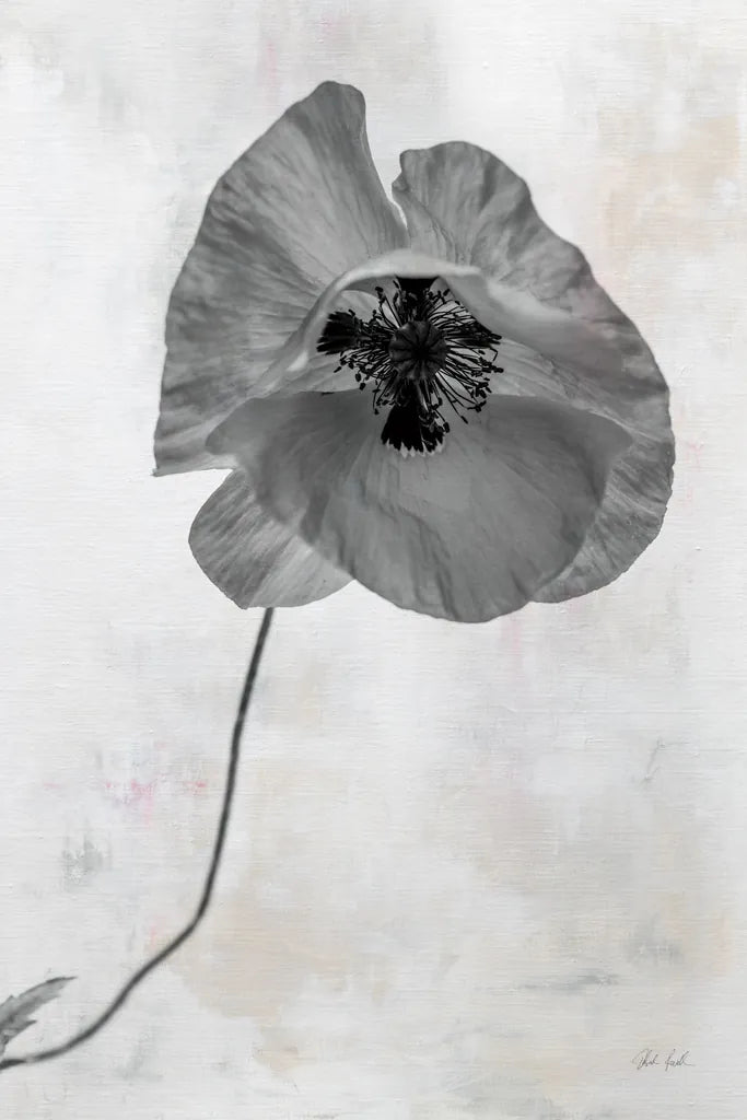 Wonderful Wildflowers VII Neutral by Deborah Revell. SKU 93951h. Archival Giclee Fine art print for wall decor.