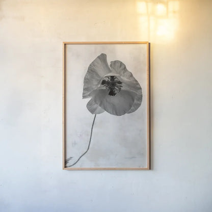 Wonderful Wildflowers VII Neutral by Deborah Revell. shown as a paper print in a natural frame. Available as a archival giclee rolled canvas, fine art paper, or poster print. SKU 93951h.