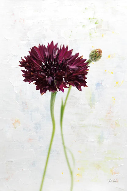 Wonderful Wildflowers VIII by Deborah Revell. SKU 93935h. Archival Giclee Fine art print for wall decor.