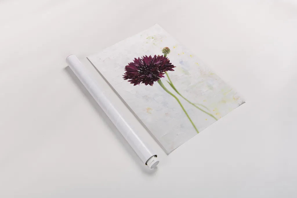 Wonderful Wildflowers VIII by Deborah Revell. shown as a rolled paper print. Available as archival giclee rolled canvas, fine art paper, or poster print. SKU 93935h.
